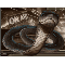 Power-Snake-Radio.de